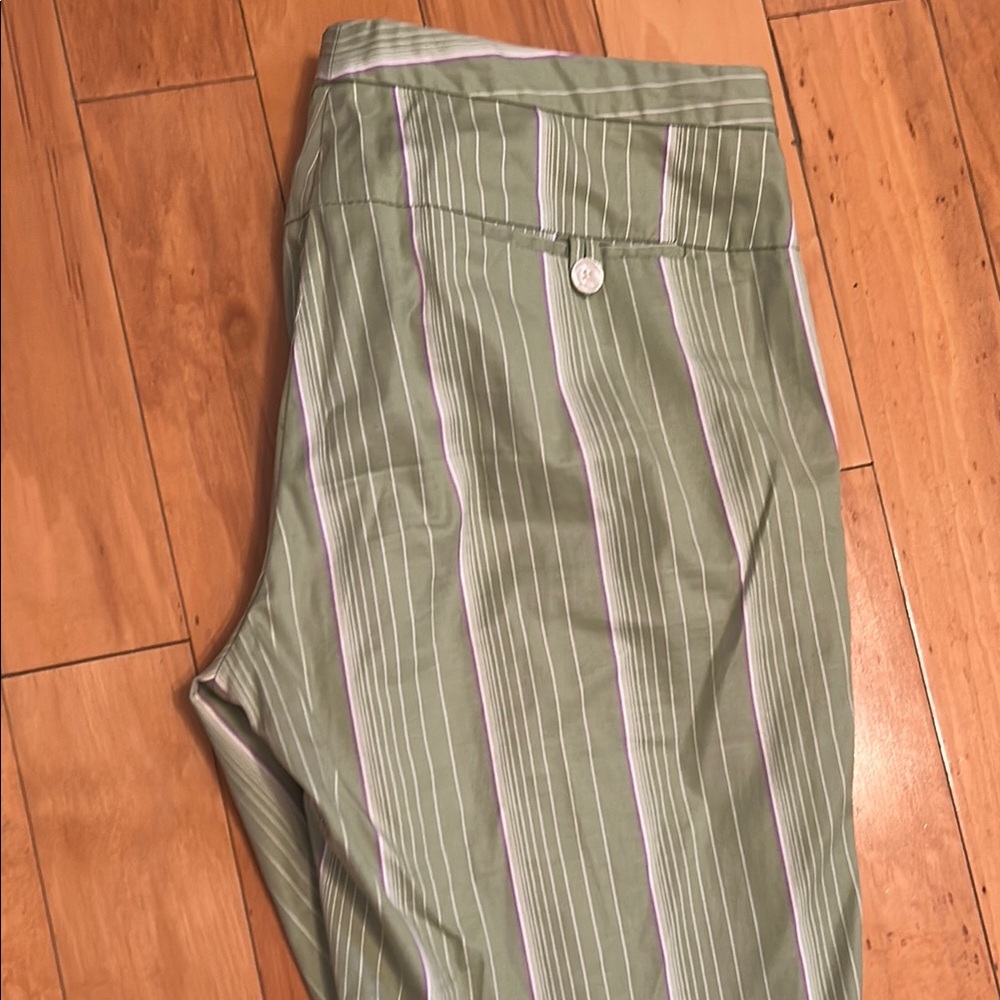 The Limited Green Striped Boot Cut Pants - Picture 5 of 5